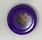 344675 Learn With Me - Space Rocket: ONE Purple Asteroid Disc